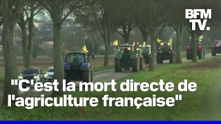 Accord UEMercosur des tracteurs en route vers le Parlement européen [upl. by Reisman]