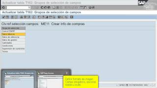 DEMO Curso SAP MM Parametrización Registro info  VIDEO2 [upl. by Notlih]