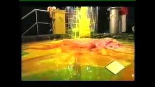 GYOB Gunge  Graham  2003 Year [upl. by Ahaelam]