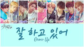 Stray Kids 스트레이 키즈  잘 하고 있어 Grow Up HANROMENG Color Coded Lyrics [upl. by Reste]