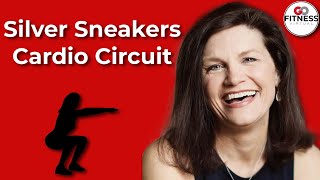 Silver Sneakers Cardio Circuit Class for Seniors at Home [upl. by Black727]