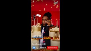 Burna Boy y quot Love Daminiquot [upl. by Netsyrk604]