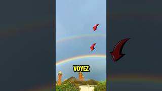 Ne vous éloignez jamais si vous voyez un arcenciel 🌈 [upl. by Ydda411]