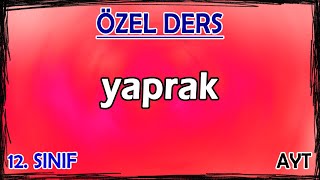 20 Bitkilerin Yapısı  Yaprak  Özel Ders 12 Sınıf [upl. by Ashwell]