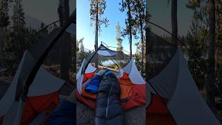 This is what it looks like camping with the sweetest golden retriever boy goldenretriever camping [upl. by Laenej]