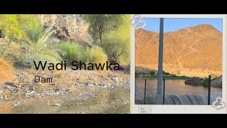 Wadi Shawka Dam [upl. by Iveksarap283]