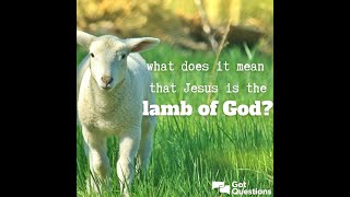 The lamb of God Sears Church of God [upl. by Reggie]