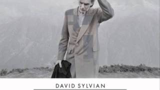 David Sylvian  Wheres Your Gravity [upl. by Haem]