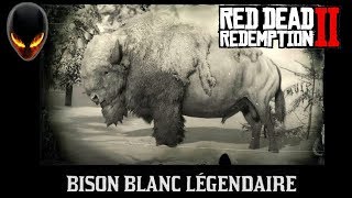 Red Dead Redemption 2 Bison Blanc légendaire  Animal Légendaire localisation [upl. by Boris621]