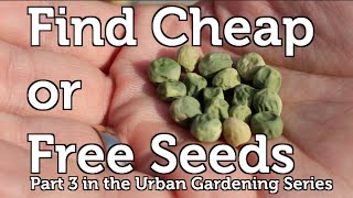 Easy and Free Seeds to Start your Garden off Right [upl. by Enaht109]