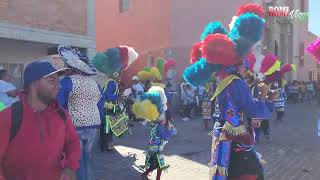 Danza Matlachines Los Guadalupanos De Romita Guanajuato Fiestas Guadalupanas 2022 [upl. by Audy557]