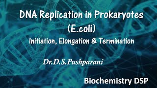 DNA Replication in Prokaryotes Initiation Chain Elongation and Termination Ecoli  Nucleic acids [upl. by Aineg]