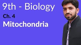 Matric part 1 Biology Mitochondria Biology  Biology Chapter 4 Cell biology  9th Class [upl. by Zerat]