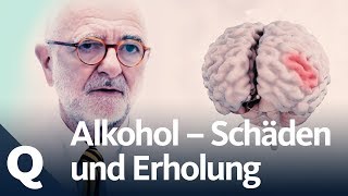 Wie gut kann sich der Körper vom Alkohol erholen  Quarks [upl. by Ardnaid]