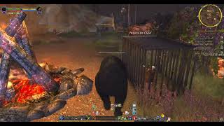 Lotro legendary server 64bit Beorning Pt 2 [upl. by Merow628]