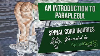 Paraplegic Definition Explained Causes Recovery Prognosis  Paraplegia  Spinal Cord Injury [upl. by Fianna938]