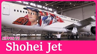 JAL introduces Dodger’s Ohtani Shohei themed plane [upl. by Terrence531]