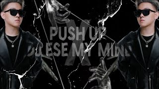 PUSH UP x DJ Ese My Mind 2024 ARS Remix ✈️ [upl. by Pavla]