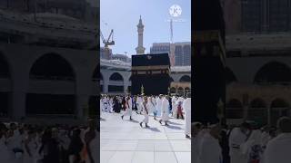 chhod fikr duniya ki chal madina chalte hai [upl. by Isnyl610]