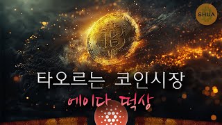 비트코인 연일 신고가 2024년 연말 종가는 결국 에이다도 간다 [upl. by Tserrof206]