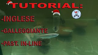 TUTORIAL MONTATURA INGLESE CON GALLEGGIANTE amp PASTURATORE INLINE PASSO PASSO A MODO MIO [upl. by Belle]