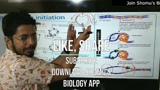 Replication initiation in prokaryotes [upl. by Enelyw]