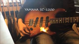 YAMAHA SC1200  Atsushi Hoshika [upl. by Sherie670]