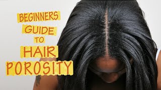 Hair Porosity 101  FOR BEGINNERS [upl. by Landahl601]