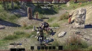 Elder Scrolls Online Necromancer gameplay [upl. by Lodnar]