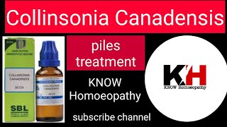 Collinsonia Canadensis  Collinsonia for piles  Collinsonia homeopathic medicine uses [upl. by Tarabar980]