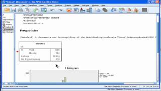 Kurtosis  SPSS part 1 [upl. by Klusek]