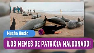 Patricia Maldonado se convirtió en meme  Mucho Gusto 2016 [upl. by Alur]