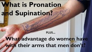 What is Pronation and Supination of the Forearm [upl. by Acinomaj]