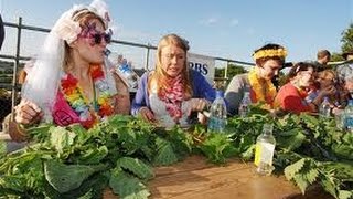 Idiots hold Stinging Nettle Eating Championship [upl. by Anieral]