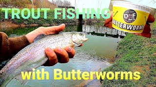 Trout Fishing with Butterworms [upl. by Ahseenak854]