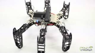 Creadapts resilient hexapod robot [upl. by Eide]