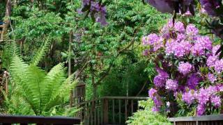 Lost Gardens of Heligan  Cornwall [upl. by Manaker301]