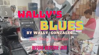 WALLYS BLUES GUITAR COVER by Steel String Band [upl. by Naawaj]