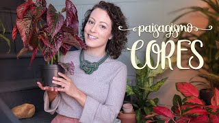 Como ORGANIZAR as PLANTAS por CORES [upl. by Ahsiruam]