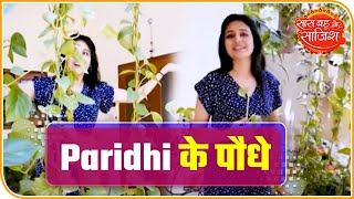 Paridhi Sharma Turns Gardener During Lockdown  Saas Bahu Aur Saazish [upl. by Varion]