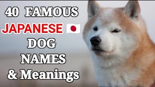 40 Famous Japanese Dogs Names and Meanings Japanese Dog 🐾Names for Female and Male Dogs [upl. by Ikeda]