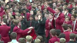 Terrace V Nudgee 2016  The Warm Up [upl. by Ecissej]