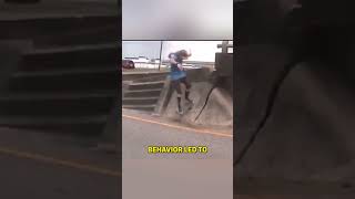 Skateboarded Hit by A Car Skateboard Driver Awareness [upl. by Gignac]