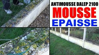 anti mousse toiture pro mur terrasse test sur clôture mousses épaisses dalep 2100 [upl. by Lapotin]