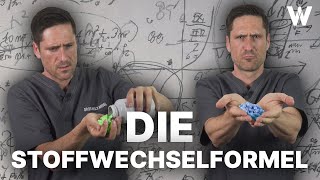 Die ERFOLGREICHE Stoffwechselformel Die besten Strategien für eine effektive Fettverbrennung [upl. by Demmahom]