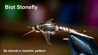 Biot Stonefly  Semi realistic pattern that just works  McFly Angler Fly Tying Tutorial [upl. by Llerdnad]