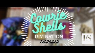 🔮🐚 Cowrie Shells  Divination Explained 🐚🔮✨ [upl. by Gittle]