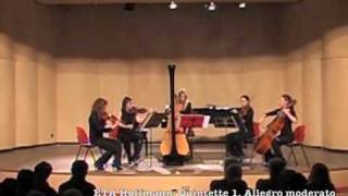 ETA Hoffmann  Quintette pour harpe et quatour à cordes 1 Allegro moderato [upl. by Awe]