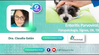 Enteritis Parvoviral Fisiopatología Signos DX TX  Dra Claudia Galán [upl. by Mahtal719]