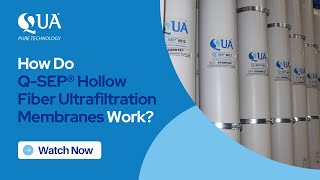 How do QSEP® Hollow Fiber Ultrafiltration UF Membranes Work  QUA [upl. by Ahsiekrats272]